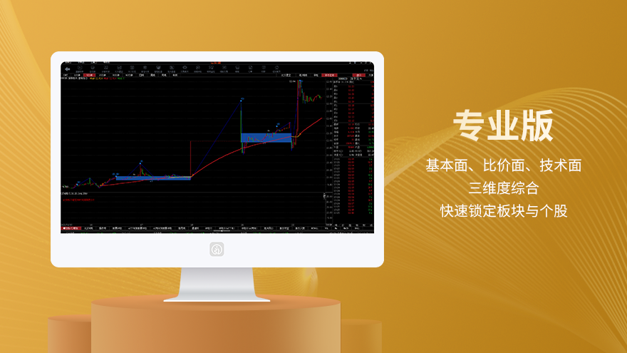 专业版