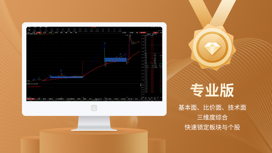 专业版
